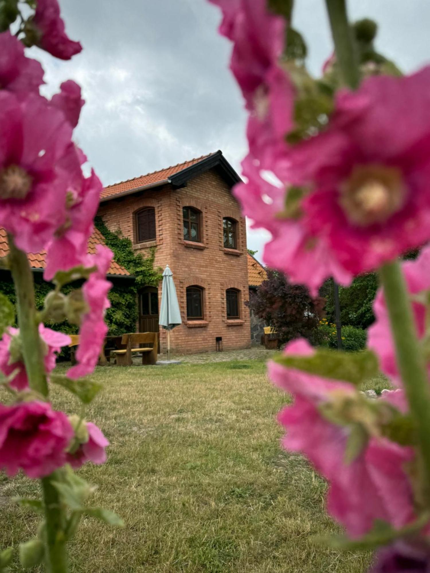 Siedlisko Na Gorce Villa Zalec Exterior photo